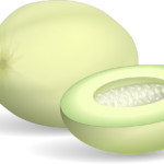 Honeydew Melon Fruit - All fruits name in Hindi