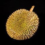 Durian fruits - all fruits name in Hindi