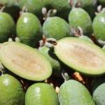 Feijoas