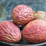 Passion Fruit