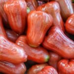 Rose Apple fruit