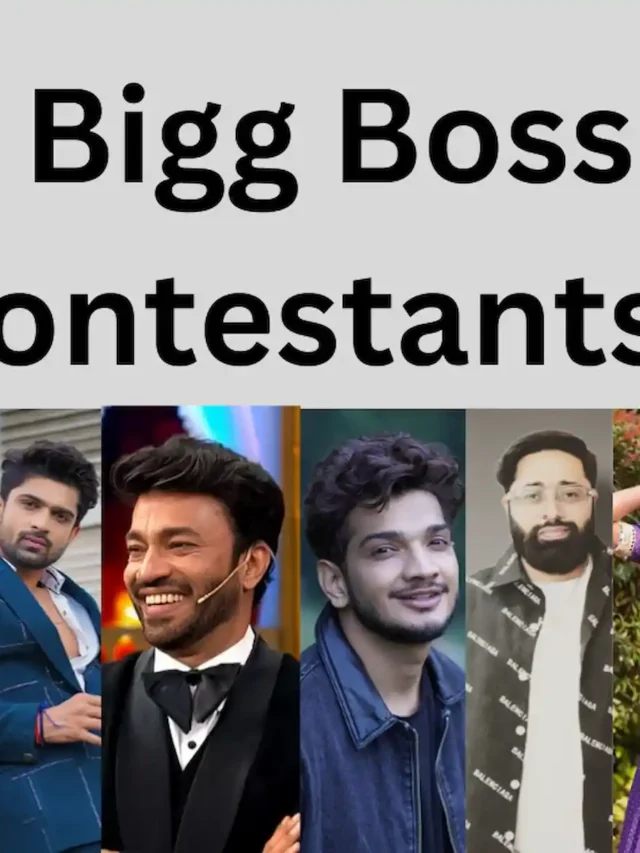 Bigg Boss 17 Contestants List